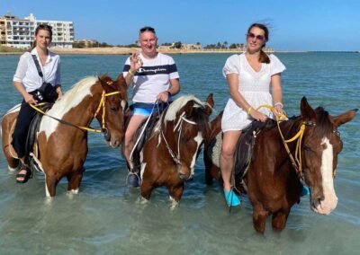 Swimming with Horses Program