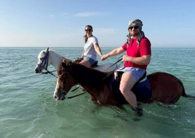 swimming with horses