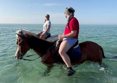 swimming with horses