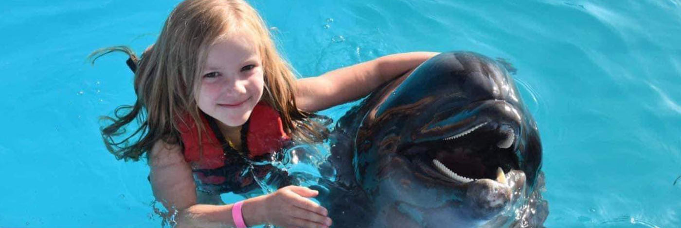 Delfines medencés programok