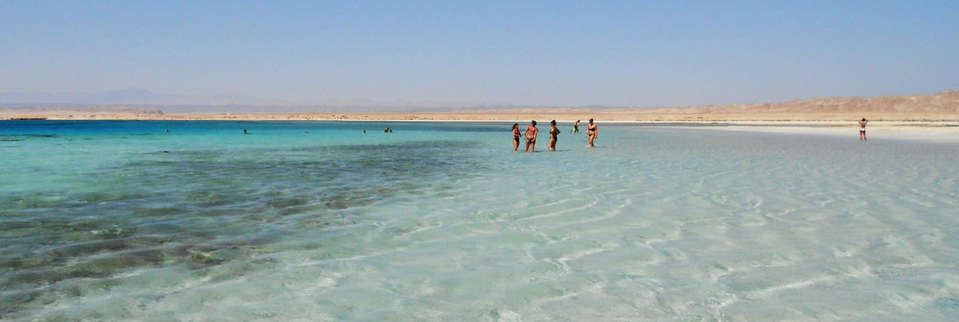 headabudabbab Sharm El Luli