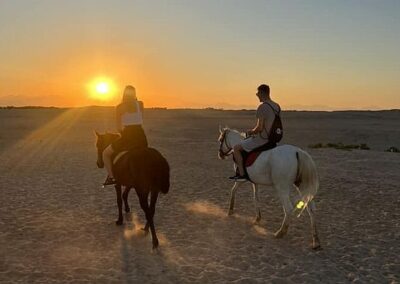 Lovaglás vagy tevegelés naplementében – 2 órás program – Marsa Alam
