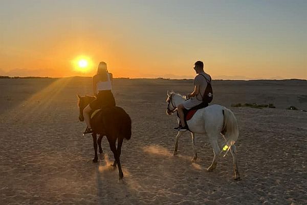 Lovaglás vagy tevegelés naplementében – 2 órás program – Marsa Alam