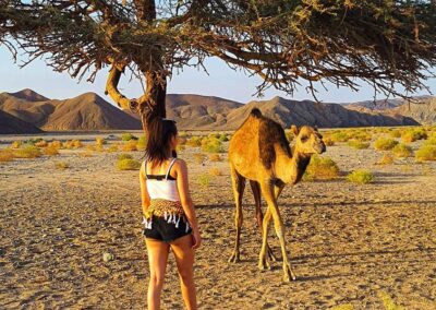 Szuper Szafari Marsa Alam