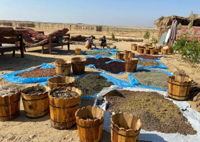 Szuper Szafari Marsa Alam