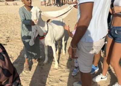 Szuper Szafari Marsa Alam
