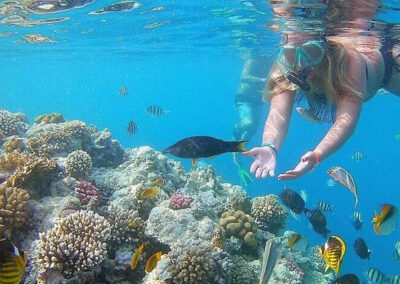 Coral Garden & Shaab Paradicsom sznorkelezés