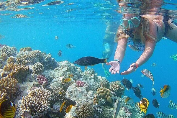 Coral Garden & Shaab Paradicsom sznorkelezés