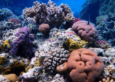 Sharm El Luli