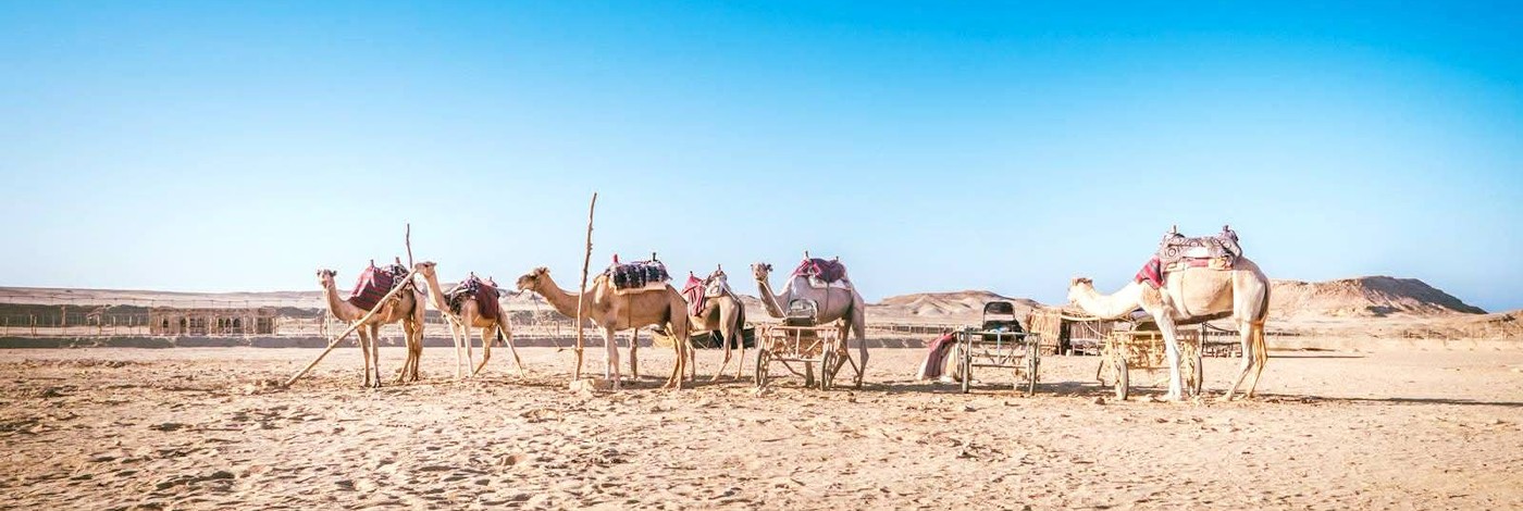 Szuper Szafari Marsa Alam