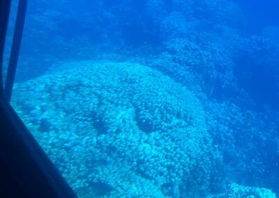 Üvegfenekű hajó Marsa Alam