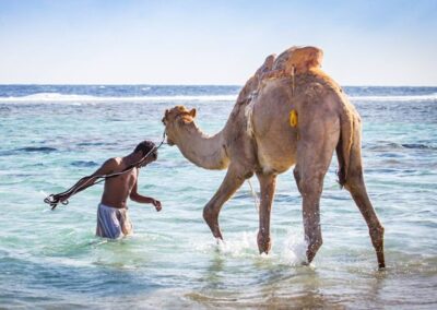 Moto Marine Szafari – Marsa Alam
