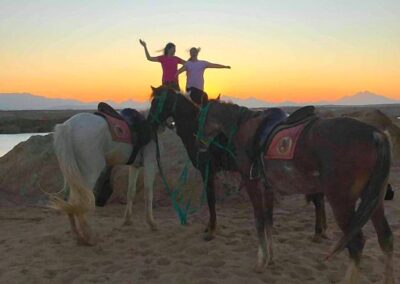 Napfelkelte lovaglás vagy tevegelés – Marsa Alam