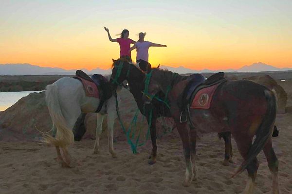 Napfelkelte lovaglás vagy tevegelés – Marsa Alam